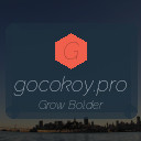 gocokoy.pro